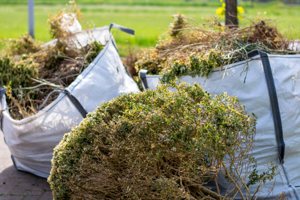 Best Office Junk Removal  in Vernon Valley, NJ